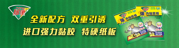 郁康粘鼠板,山東潔保